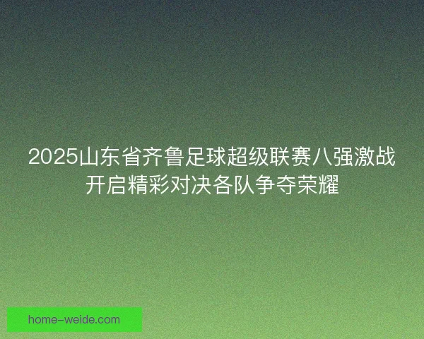 2025山东省齐鲁足球超级联赛八强激战开启精彩对决各队争夺荣耀